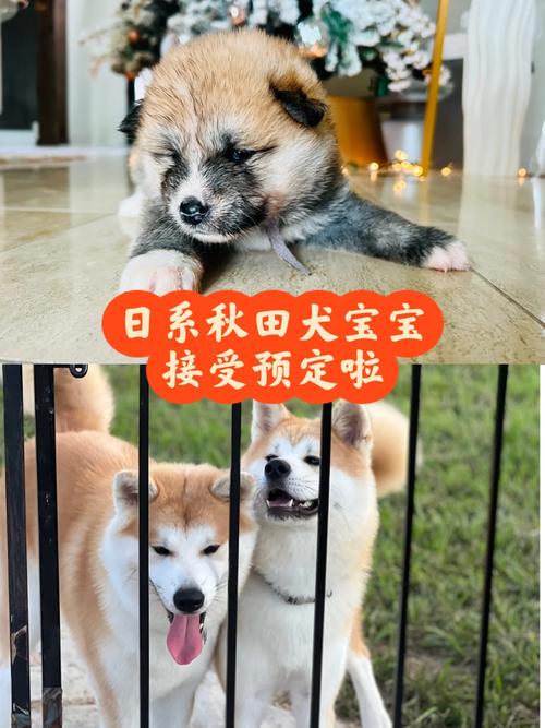 双鱼座适合和哪个星座在一起 比较合适的星座分析 双鱼座适合和哪个星座在一起 比较合适的星座分析