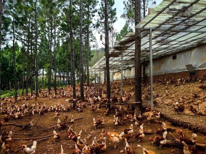 ��î�공�ƺ�����ĸ���ײ�ѯ��Ļ�Ӱ�쳵����������