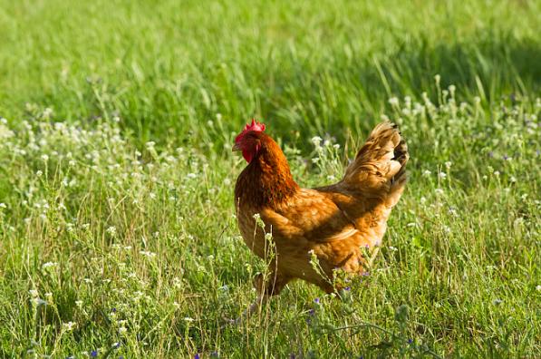 Ϲĳƺǳƴȫ ͨѶ¼Ϲǳưƴ