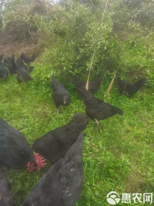 免费超市名字店名大全聚财 有内涵聚人气店面名