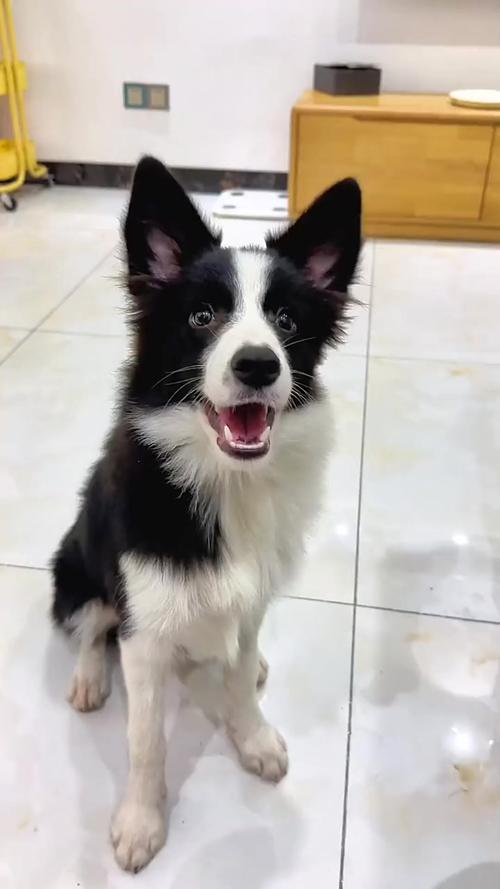 ǩһǩ_ְǩʾ(ǩһǩ_ְǩɿ)