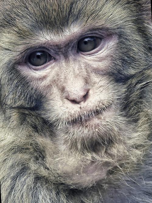 صǩ76ǩȫ_޲(صǩ76ǩȫ_޲)