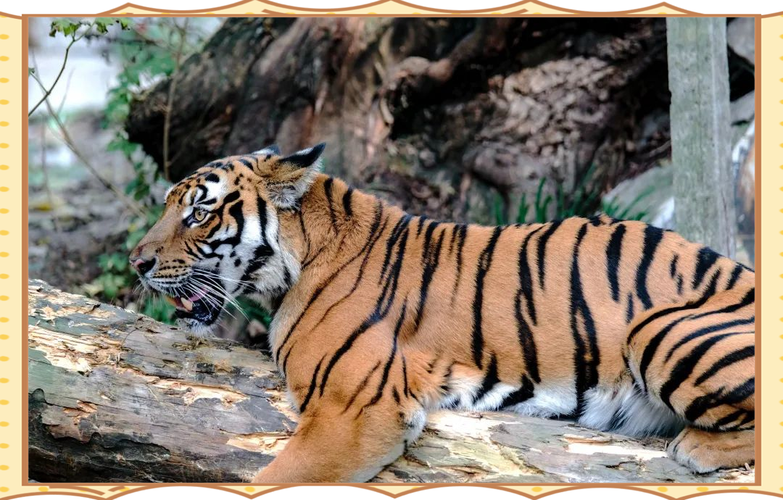 如何找到最佳的U盘修复工具