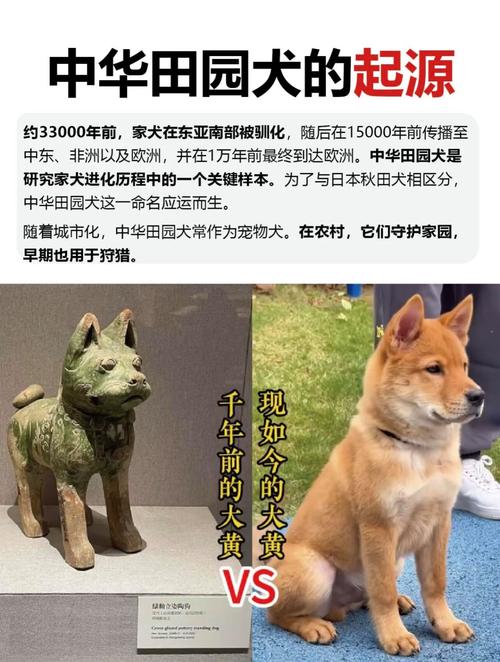 刘芸取名男 刘芸后面加什么字名字才好听