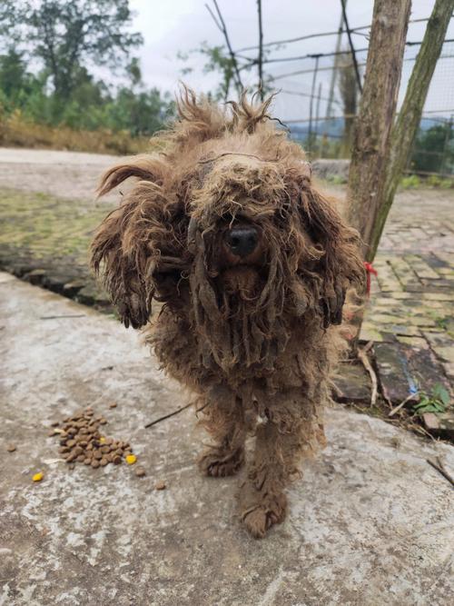 ������è�ܹ���լ�� ��ˮ��ô����