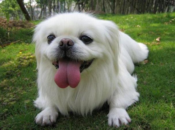 月老老灵签_恋爱机会增多_需谨慎对待吗(月老老灵签显示的恋爱机会增多吗) 月老老灵签_恋爱机会增多_需谨慎对待吗(月老老灵签显示的恋爱机会增多吗)