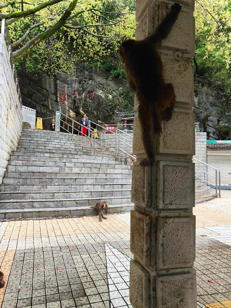 三个字的科技公司名称 公司起名用哪些字好 三个字的科技公司名称 公司起名用哪些字好