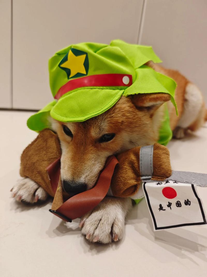 朱松花微博 朱松玮个人集锦