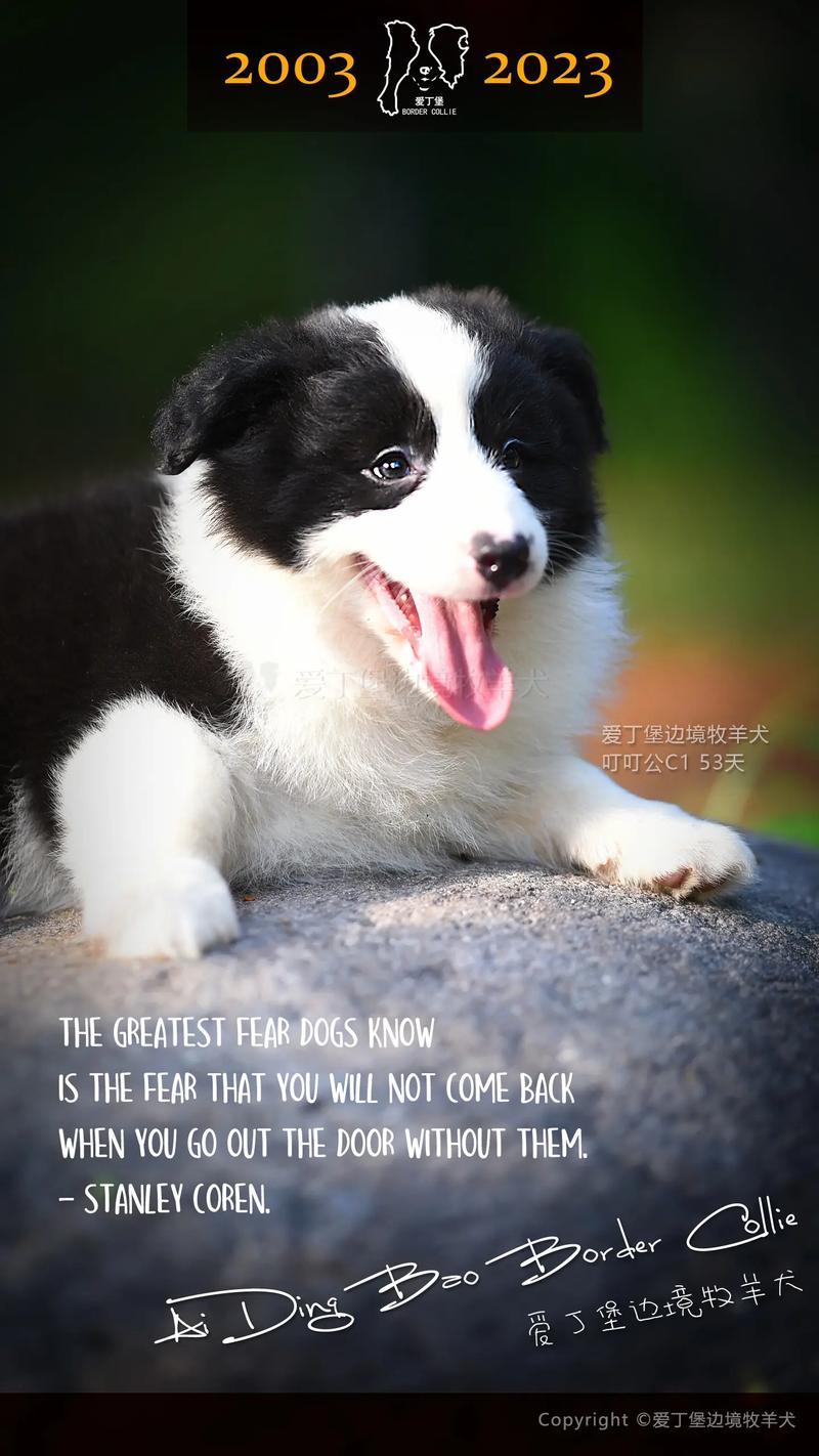 2025年什么属相犯太岁 2025年犯太岁的属相 2025年什么属相犯太岁 2025年犯太岁的属相