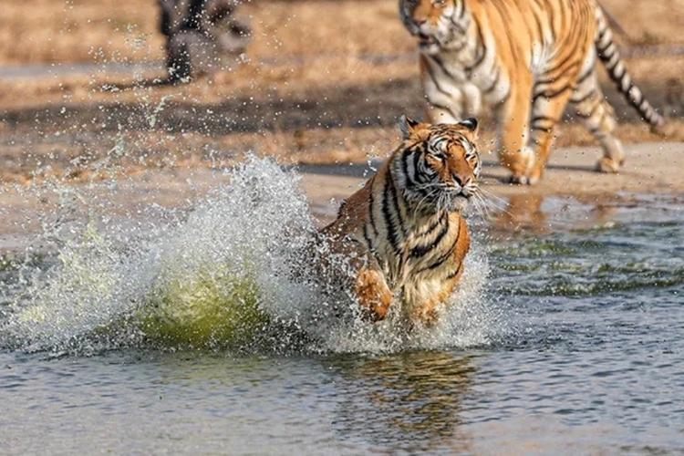 车库停车风水禁忌