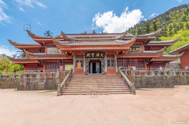 客厅最旺宅的放什么花 旺宅旺财的风水花卉有哪些 客厅最旺宅的放什么花 旺宅旺财的风水花卉有哪些