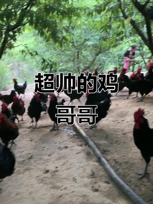 虎宝宝起什么名字好听 2025年小孩取名宜用字 虎宝宝起什么名字好听 2025年小孩取名宜用字