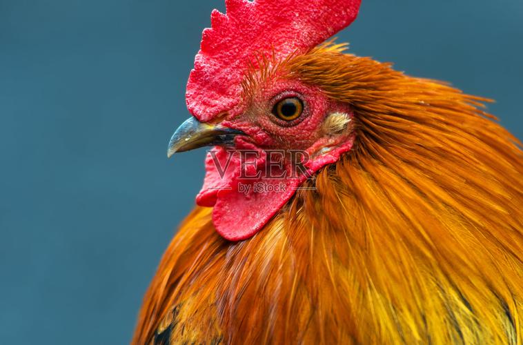 秦昊几个娃 秦昊有几个宝宝