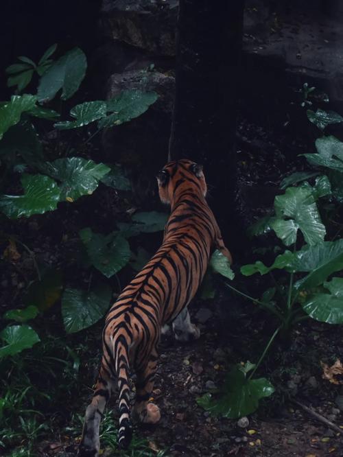 关于卖电脑的公司名字 有档次的计算机企业起名 关于卖电脑的公司名字 有档次的计算机企业起名