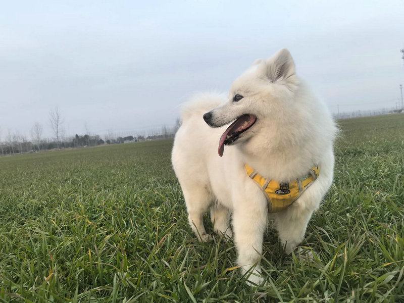 四川成都旅游公司起名会影响亲戚关系的复杂性(四川成都旅游公司起名该避免亲戚关系复杂影响命理平衡) 四川成都旅游公司起名会影响亲戚关系的复杂性(四川成都旅游公司起名该避免亲戚关系复杂影响命理平衡)