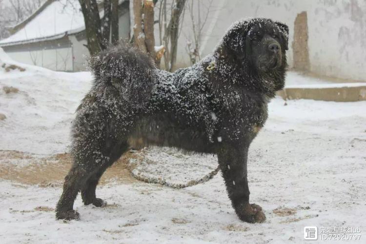 甲戌与手机号码测吉凶起源之间有什么无法忽视的联系让