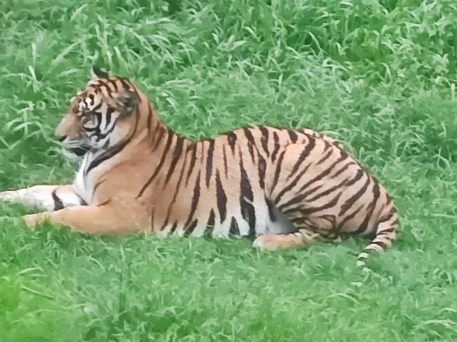 �����л�������ִ�ȫ �������л�պ������ַ���