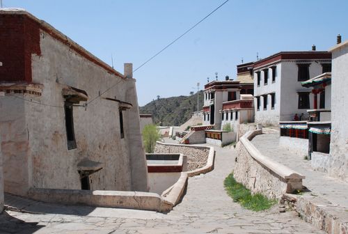 王维维和老公的结婚照