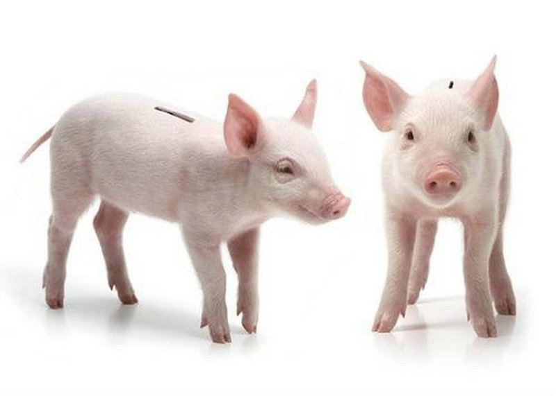 农村自建房风水讲究