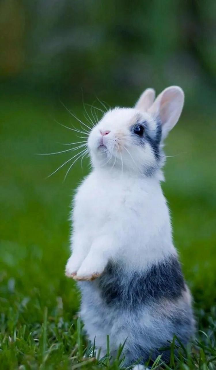 最让人害怕的生肖女 精明的让人害怕的生肖女有哪些 最让人害怕的生肖女 精明的让人害怕的生肖女有哪些