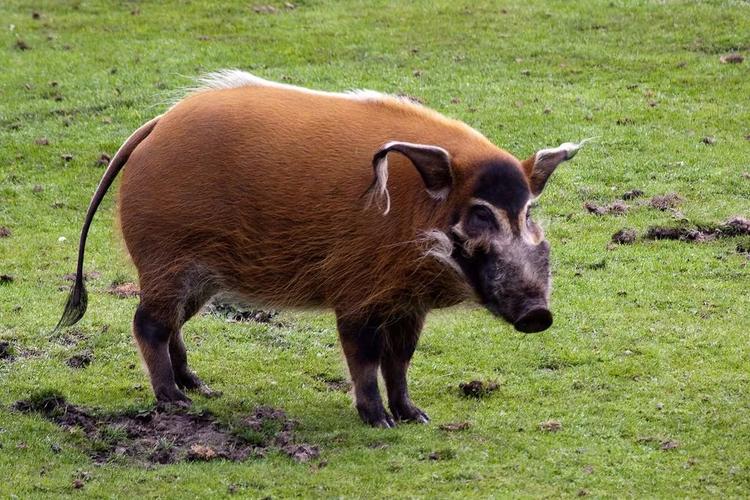 ������ͼƬ(��������ͼƬ)