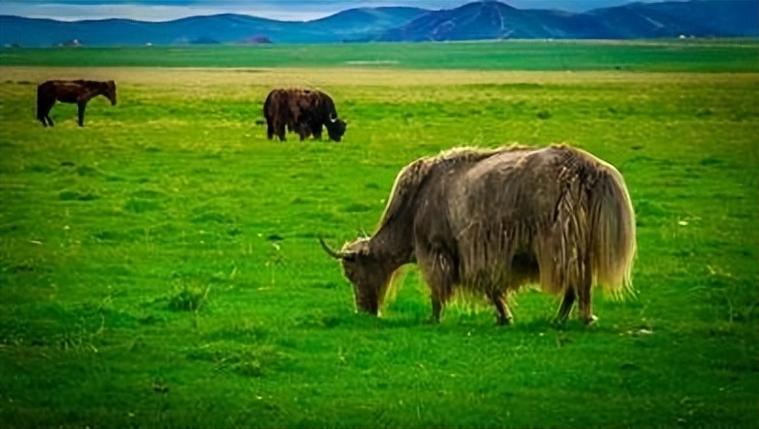 ȱˮȱľԢÒâºÃµÄº¢×ÓÃû×Ö Í¨Óñ¦±¦ÆðÃûС·½·¨ ȱˮȱľԢÒâºÃµÄº¢×ÓÃû×Ö Í¨Óñ¦±¦ÆðÃûС·½·¨