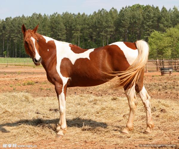 ������Ǿ� �����ѡ��