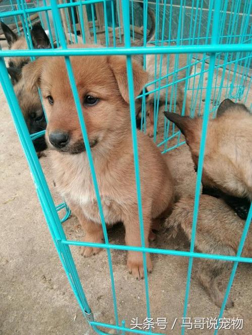 25ǩǩȫְҵ(25ǩǩȫְҵ)