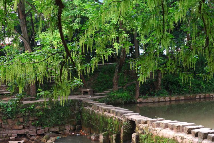 ţ˽˳ô 2025ƺò(ţ˽˳ô 2025ƺòѽ)