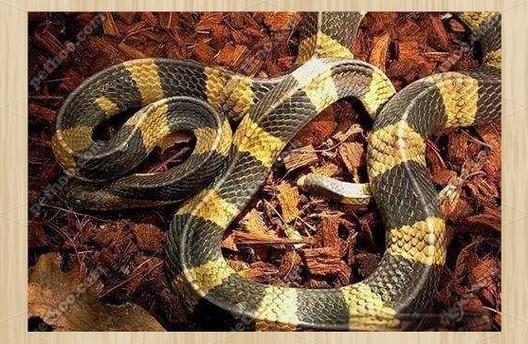 ���Ӳ��ܶ�����Щ�ط�