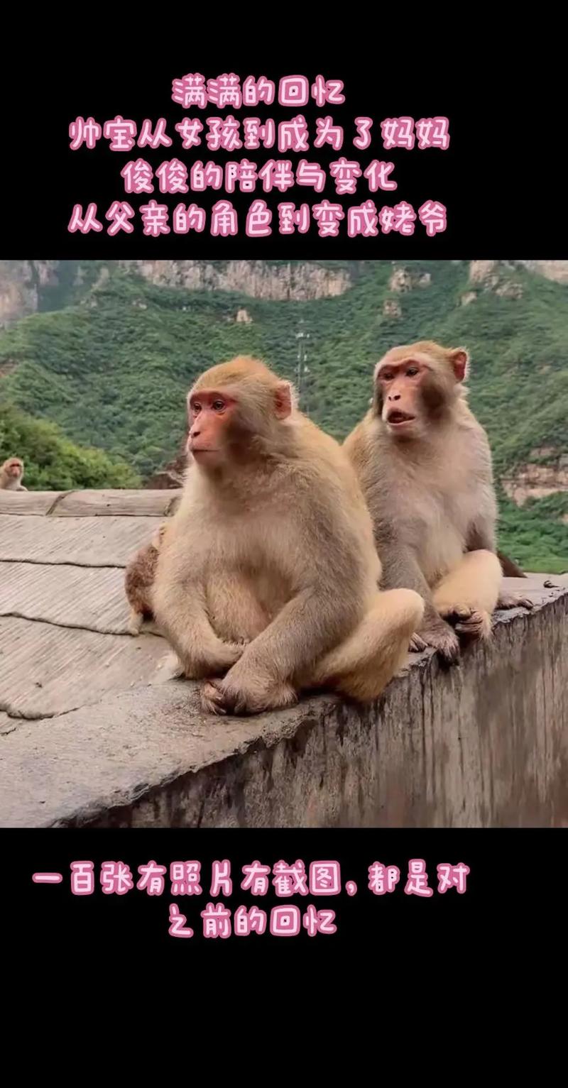 ǩ_ʻʲô(ǩ_мʸû)