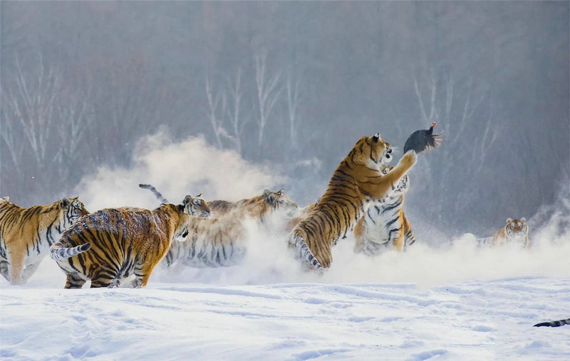 δݵóƺ뼪ײԼ㹫ʽжԼĳƻ˺Ͱȫ