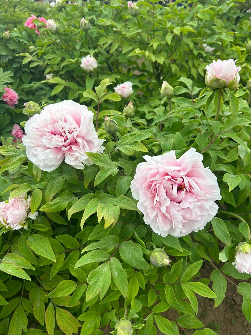 一般注册公司取什么名字好 精品案例分析 一般注册公司取什么名字好 精品案例分析