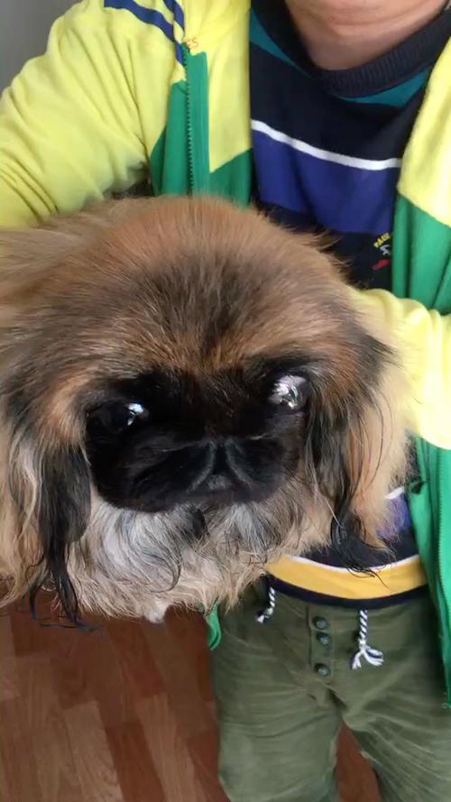 涧下水命床头朝哪好 朝哪个方位旺自己 涧下水命床头朝哪好 朝哪个方位旺自己