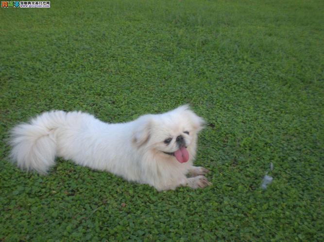 姓单于的好听的男孩名字 姓单于的好听的男孩名字