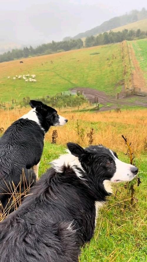 һԻӰǵȶ(һԻӰǵ)