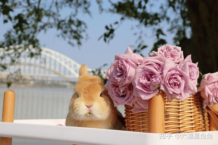 楼房壁画风水禁忌 楼房壁画风水禁忌