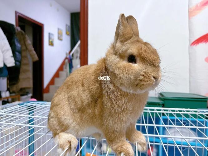 ���ƺ�33KB0�ļ��׾�����Ӱ���г���ȫ�͸���������ʶ