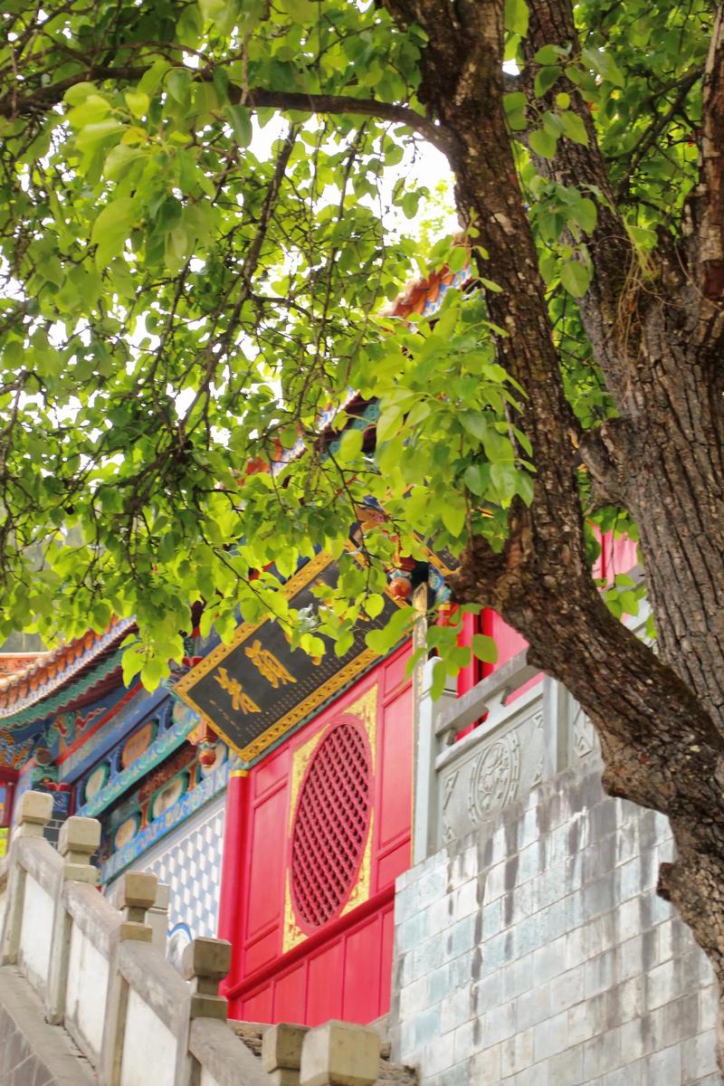 揭秘成功人士的家居风水布局