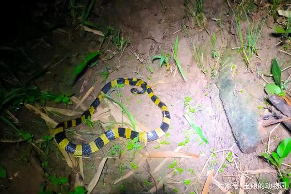 �벻Ҫ�����Լ�������Ʒ��