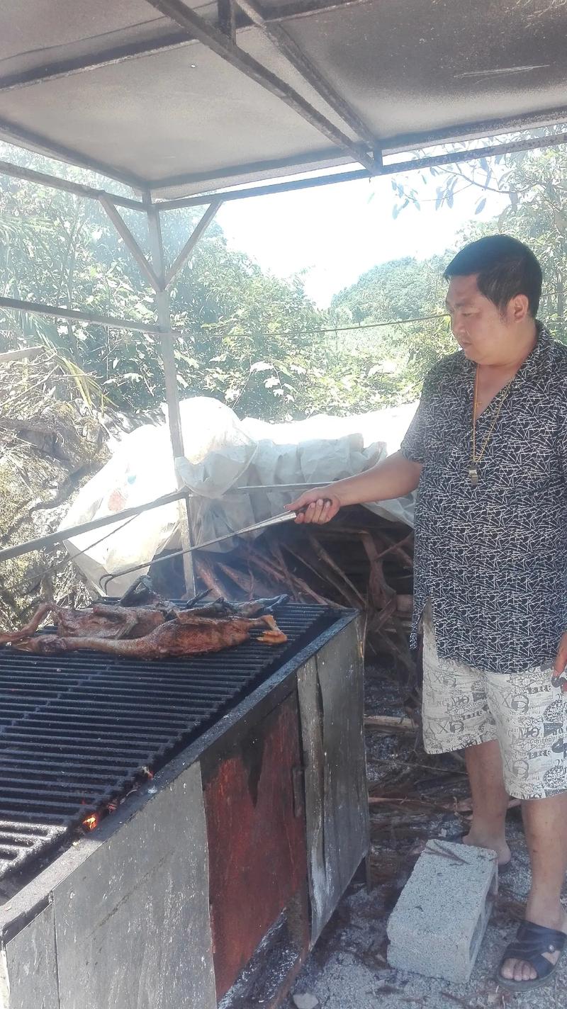 算命与什么生肖有关系影响羊年人的社交活动频率(算命与什么生肖有关系会影响羊的社交活动频率吗) 算命与什么生肖有关系影响羊年人的社交活动频率(算命与什么生肖有关系会影响羊的社交活动频率吗)