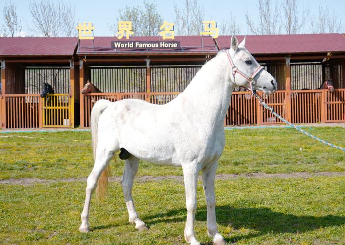 的取名的寓意 字取名字