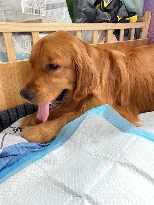 ƴǩ21ǩ_г(ƴǩ21ǩżǹϵг)