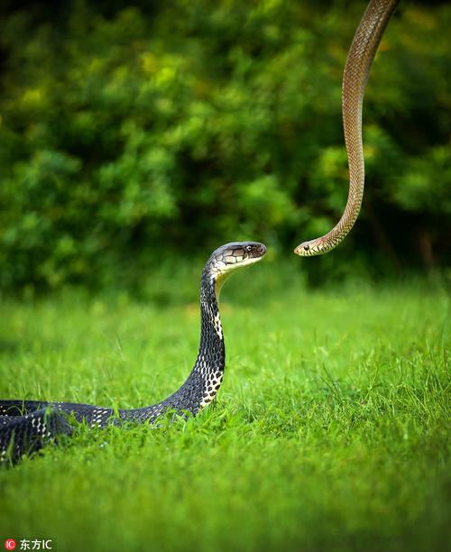 ţ��ʲô��Ф������ ����ȱʲô