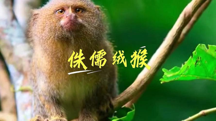 ����ǽ����Ľ����� �׼����Ǿ������սȼ����̨