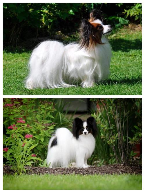 2025年11月14日农历十月初十出生的男孩国学古风诗词起名 2025年11月14日农历十月初十出生的男孩国学古风诗词起名