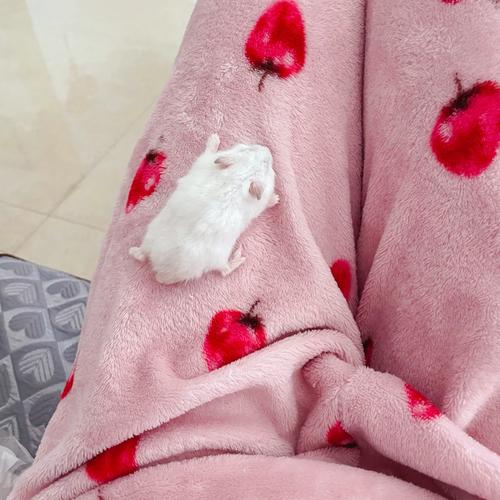 免费算命生男女能否影响我们的收入水平和财运相配(免