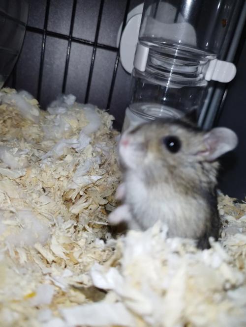 小户型客厅装修风水要点