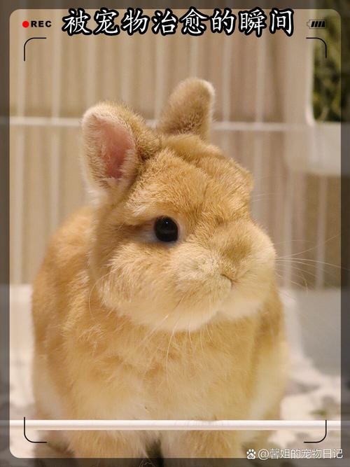 命局有隐形情敌 算命八字排盘配对婚姻危机 命局有隐形情敌 算命八字排盘配对婚姻危机