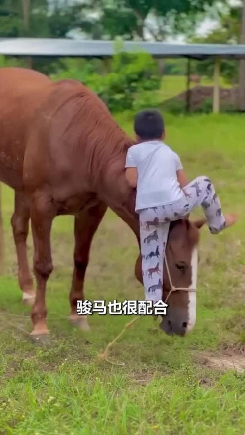 姚晨父亲是谁姚晨和靳东演过戏么 姚晨父亲是谁姚晨和靳东演过戏么